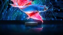 Hisense PL1HE 100-inch PL1 Series UHD X | PL1HE