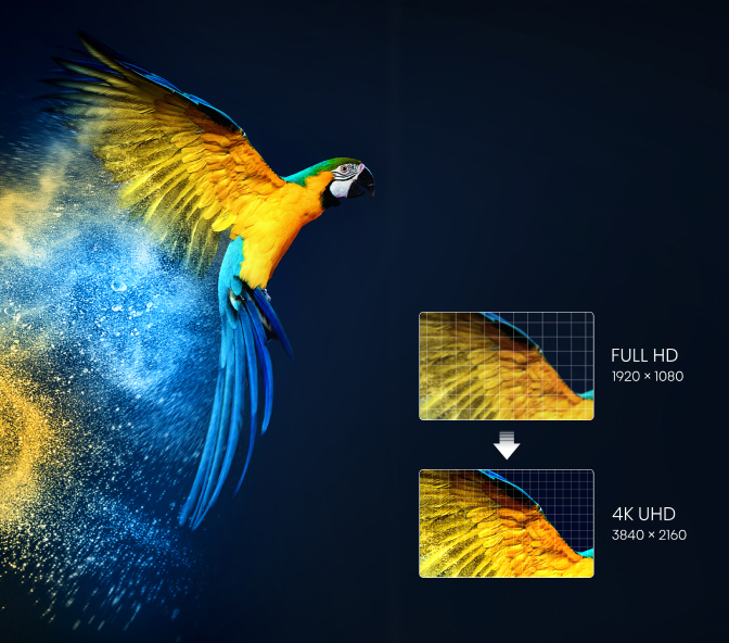 Hisense PL1HE 100-inch PL1 Series UHD X | PL1HE