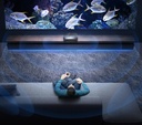 Hisense PL1HE 100-inch PL1 Series UHD X | PL1HE
