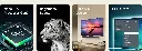 LG 55 inch evo C4 Series OLED webOS Smart TV |OLED55C4