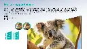 Hisense 65 inch Q6N Series QLED UHD Smart TV | 65Q6N