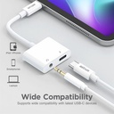 AS045 USB-C to Audio Aux DAC + USB-C Adapter