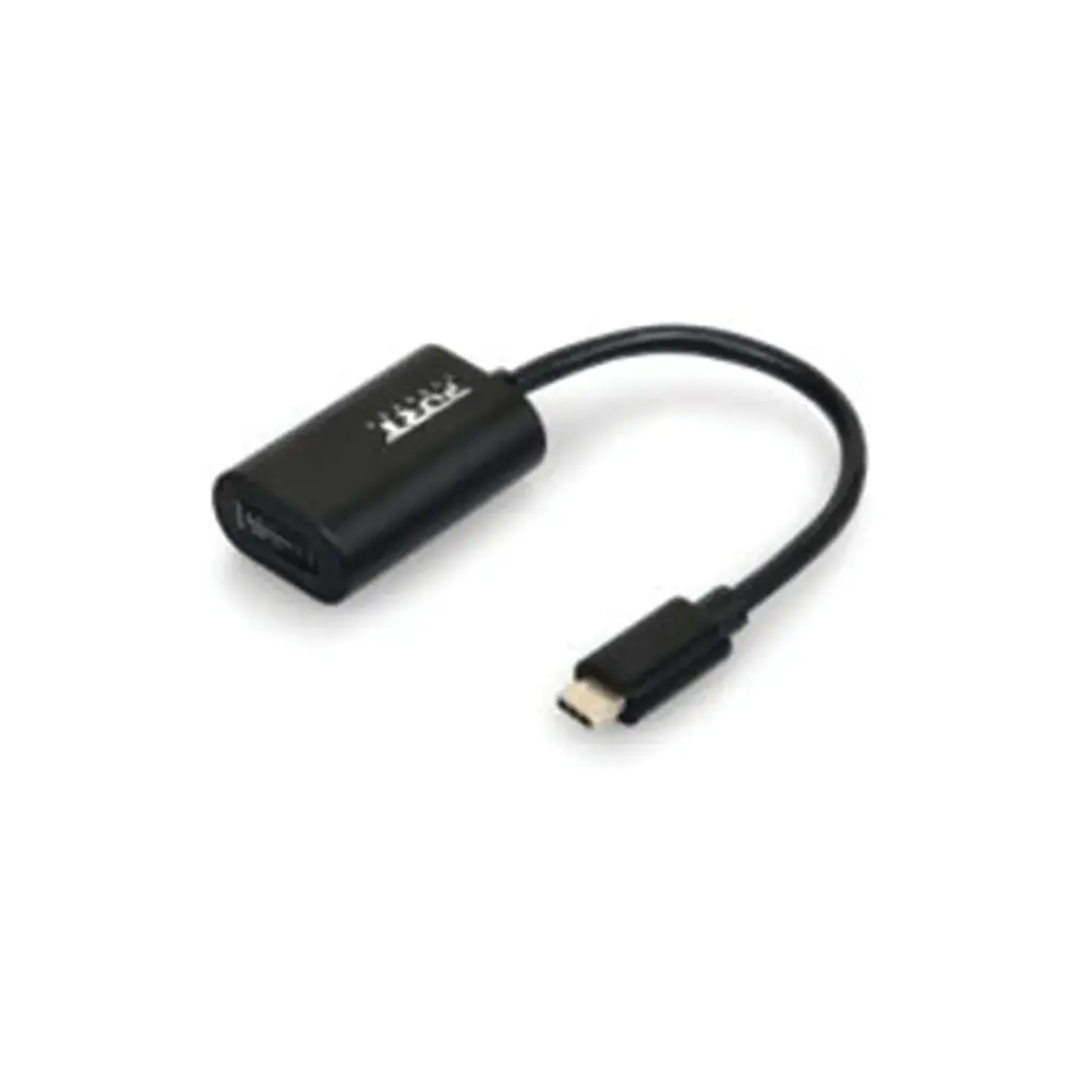 Port USB-C to Display Port Adapter