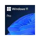 Microsoft Windows 11 Professional Single-User ESD License FQC-10572