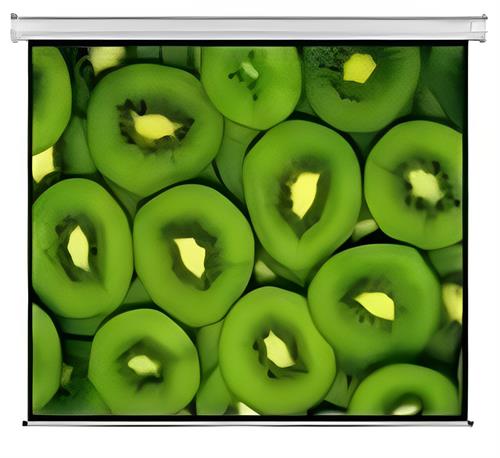 Esquire Electric 300×169 Projector Screen